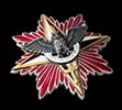 Нагрудний знак «Зірка Слави»