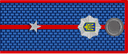 Police Junior Lieutenant