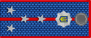 Police Captain