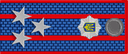 Полковник міліції